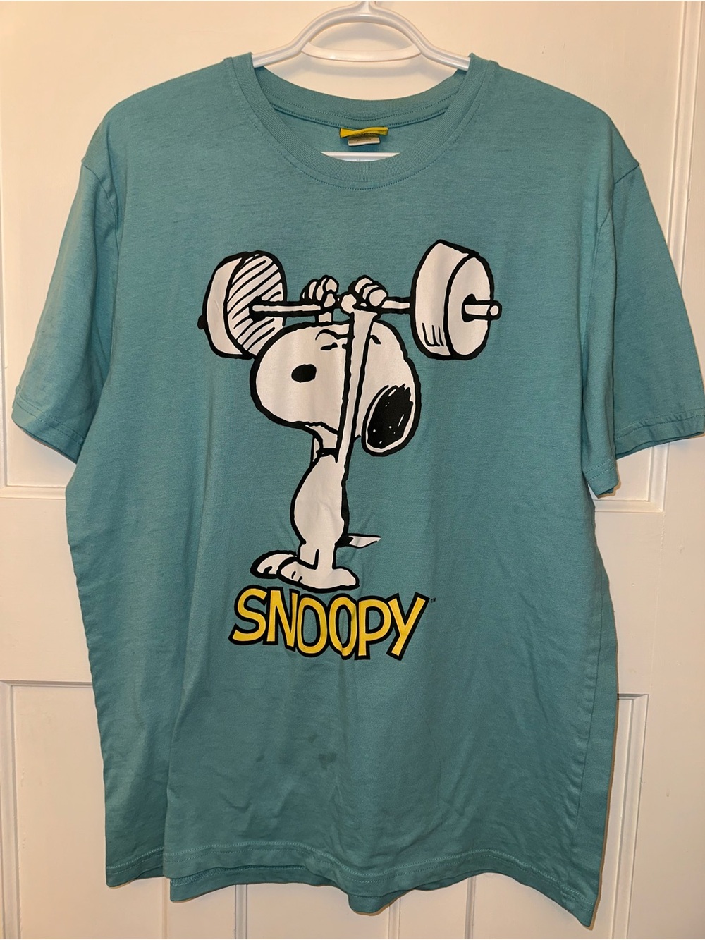 🌺5/$25🌺Peanuts Oversized Snoopy Teal Graphic Tee with Yellow Logo